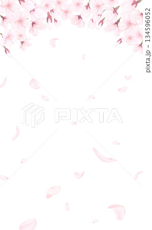 桜_手描き_花びら背景_縦_桜と舞う花びら 134596052