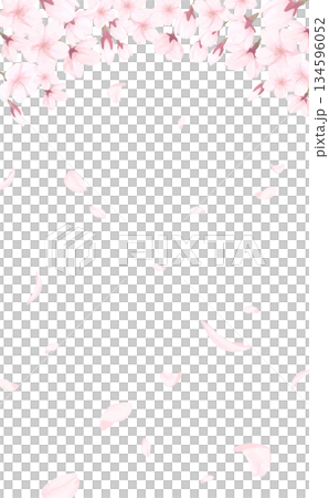 桜_手描き_花びら背景_縦_桜と舞う花びら 134596052