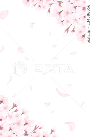 桜_手描き_花びら背景_縦_桜上下斜めと舞う花びら 134596056
