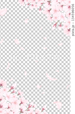 桜_手描き_花びら背景_縦_桜上下斜めと舞う花びら 134596056