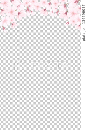 櫻花_手繪_花瓣背景_豎版 134596057