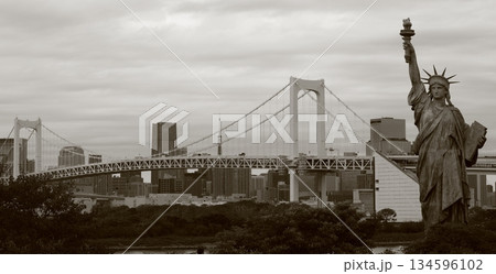 東京都 ゆりかもめ 台場駅から見るレインボーブリッジ 134596102