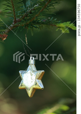 A gold star hanging from a tree branch A gold star hanging from a tree branch 134596750