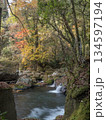 秋の菊池渓谷の滝と紅葉 134597194