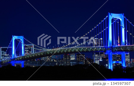 東京都 ゆりかもめ 台場駅から見るライトアップされたレインボーブリッジ 東京都 ゆりかもめ 台場駅から見るライトアップされたレインボーブリッジ 134597307