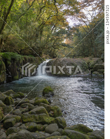 紅葉が始まった渓流 紅葉が始まった渓流 134597325