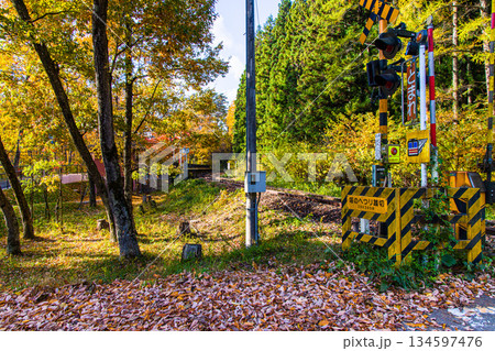 【福島県_塔のへつり】 百万年の歳月が作った渓谷美 134597476