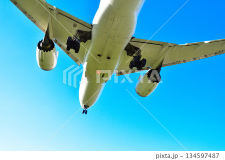 航空機　大空 134597487