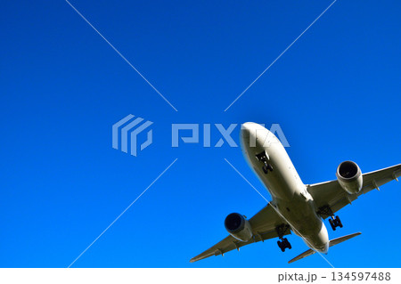 航空機　大空 134597488