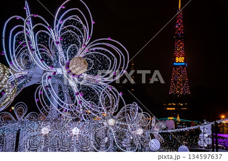 大通公園 ホワイトイルミネーション 大通公園 ホワイトイルミネーション 134597637