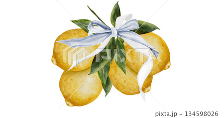 Lemon branch with ribbon bow watercolor composition. Hand drawn tropical sour fruit. Clip art of juicy yellow lime. Citrus on isolated white background. Ideal for logo and packaging of natural Lemon branch with ribbon bow watercolor composition. Hand drawn tropical sour fruit. Clip art of juicy yellow lime. Citrus on isolated white background. Ideal for logo and packaging of natural 134598026