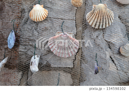 Fishing net decorated with seashell, exposed as decoration in front of the restaurant in Icici, Croatia 134598102