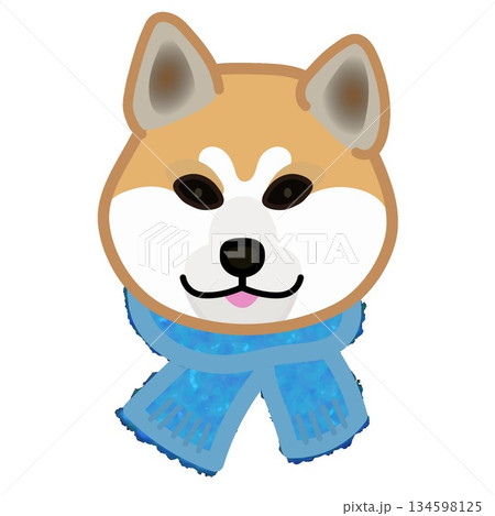 もふもふマフラーをした秋田犬の顔のイラスト もふもふマフラーをした秋田犬の顔のイラスト 134598125