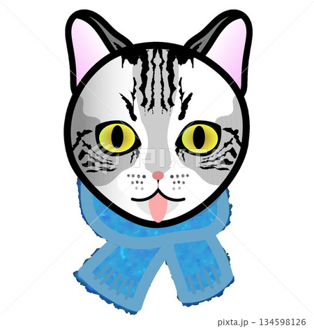 もふもふマフラーをした猫の顔のイラスト 134598126