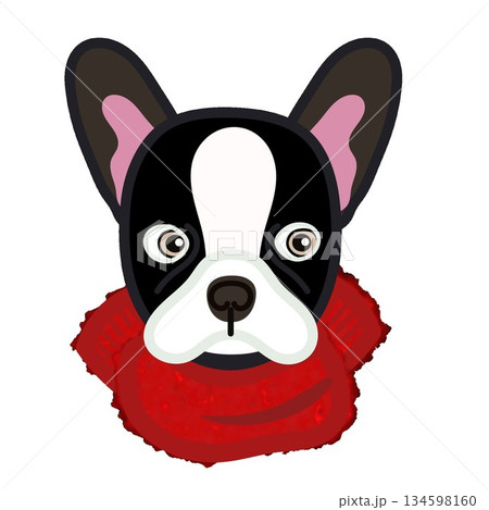 もふもふマフラーをした犬の顔のイラスト 134598160