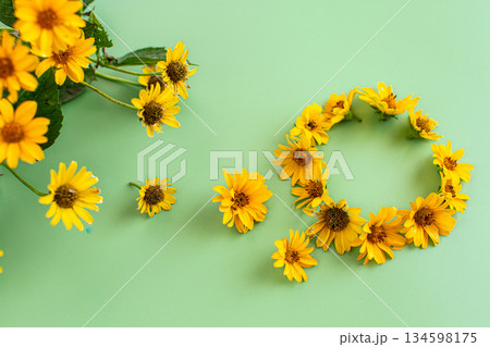 Blooming yellow flowers with natural leaves on green background Blooming yellow flowers with natural leaves on green background 134598175