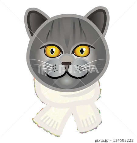 もふもふマフラーをした猫の顔のイラスト もふもふマフラーをした猫の顔のイラスト 134598222