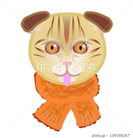 もふもふマフラーをした猫の顔のイラスト 134598267