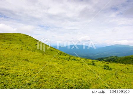 wonderful summer landscape of carpathian mountains in ukraine. scenic alpine view of rolling hills and green meadow. cloudy sky. green environment sustainability and protection. background for earth 134599109