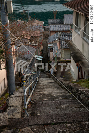 三重県　尾鷲市　須賀利町の漁村の風景 134599464