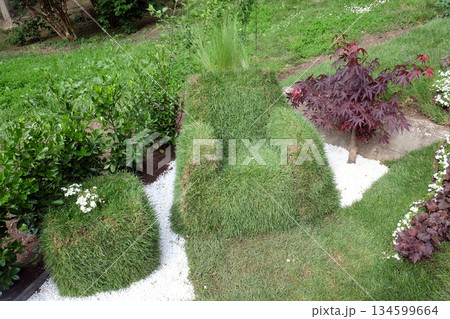 Flowers exposed on Floraart, 52 international garden exhibition in Zagreb 134599664