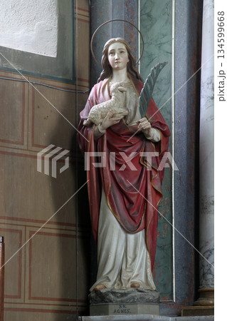 Saint Agnes, statue on the altar in Saint Elijah church in Lipnik, Croatia 134599668