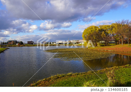 北村中央公園ふれあい広場のトロッコ沼 北村中央公園ふれあい広場のトロッコ沼 134600185