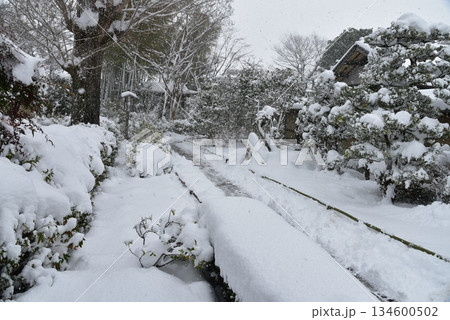 京都 妙智院の雪景色 京都 妙智院の雪景色 134600502