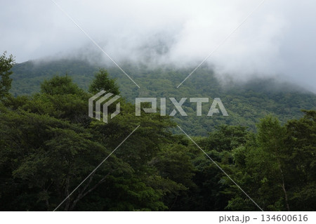 雲に覆われる山 134600616