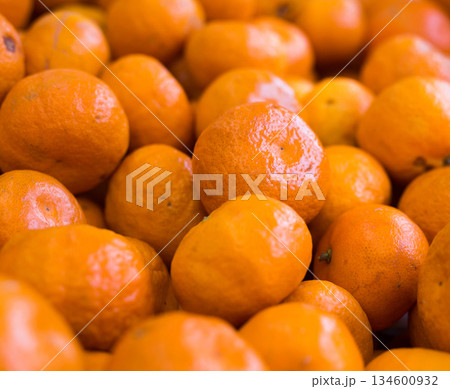 apetitic juicy farm mandarins at market counter 134600932