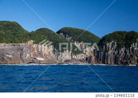 三重県　熊野市　熊野灘に広がる青い海と柱状節理の海岸風景 134601118