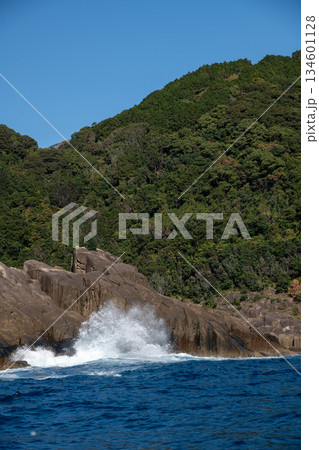 三重県　熊野市　熊野灘に広がる青い海と柱状節理の海岸風景 134601128