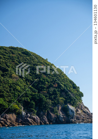 三重県 熊野市 熊野灘に広がる青い海と柱状節理の海岸風景 三重県 熊野市 熊野灘に広がる青い海と柱状節理の海岸風景 134601130