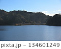 冬の亀山湖と亀山水天宮鳥居　千葉 134601249