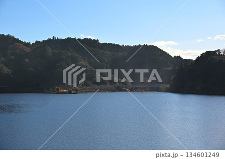 冬の亀山湖と亀山水天宮鳥居　千葉 134601249