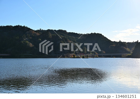 冬の亀山湖と亀山水天宮鳥居 千葉 冬の亀山湖と亀山水天宮鳥居 千葉 134601251