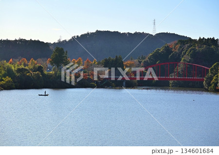 冬の夕方の亀山湖の豊田大橋　千葉 134601684