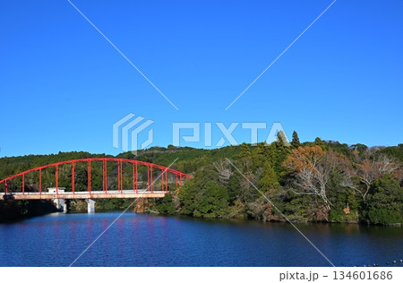 冬の亀山湖の川俣大橋 千葉 冬の亀山湖の川俣大橋 千葉 134601686