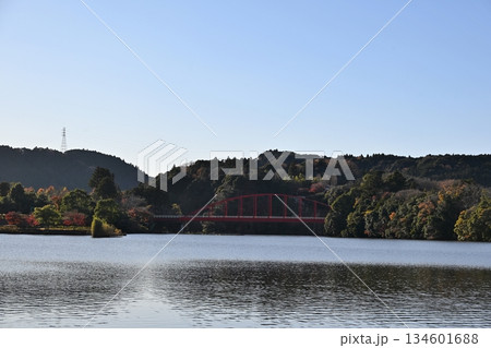 冬の夕方の亀山湖の豊田大橋　千葉 134601688
