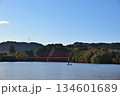 冬の夕方の亀山湖の豊田大橋　千葉 134601689