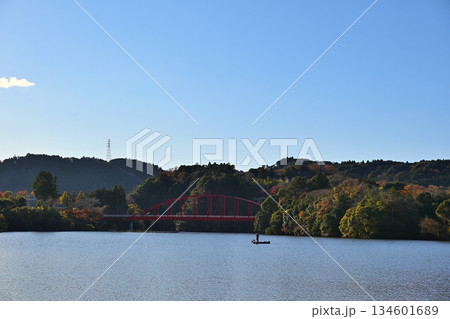 冬の夕方の亀山湖の豊田大橋 千葉 冬の夕方の亀山湖の豊田大橋 千葉 134601689