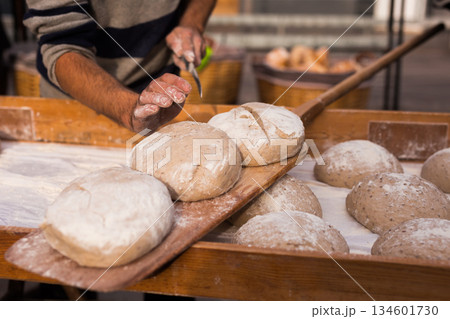 bread preparation. loaves of dough before baking bread preparation. loaves of dough before baking 134601730