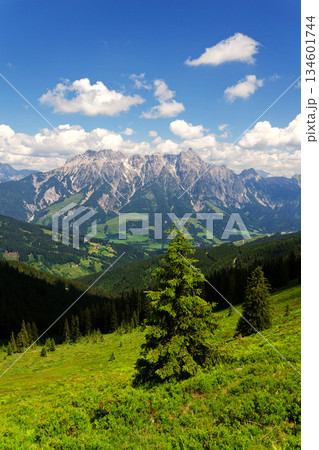 Leogang Mountains Leoganger Steinberge with highest peak Birnhorn, idyllic summer landscape Alps, Zell am See district, Salzburg federal state, Austria Leogang Mountains Leoganger Steinberge with highest peak Birnhorn, idyllic summer landscape Alps, Zell am See district, Salzburg federal state, Austria 134601744