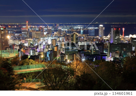 【兵庫県】六甲山から見た神戸の夜景(ビーナスブリッジ) 【兵庫県】六甲山から見た神戸の夜景(ビーナスブリッジ) 134601961
