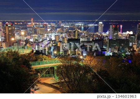 【兵庫県】六甲山から見た神戸の夜景(ビーナスブリッジ) 【兵庫県】六甲山から見た神戸の夜景(ビーナスブリッジ) 134601963