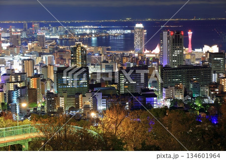 【兵庫県】六甲山から見た神戸の夜景（ビーナスブリッジ） 134601964