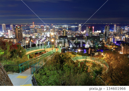 【兵庫県】六甲山から見た神戸の夜景（ビーナスブリッジ） 134601966