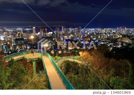 【兵庫県】六甲山から見た神戸の夜景（ビーナスブリッジ） 134601969