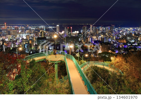 【兵庫県】六甲山から見た神戸の夜景（ビーナスブリッジ） 134601970