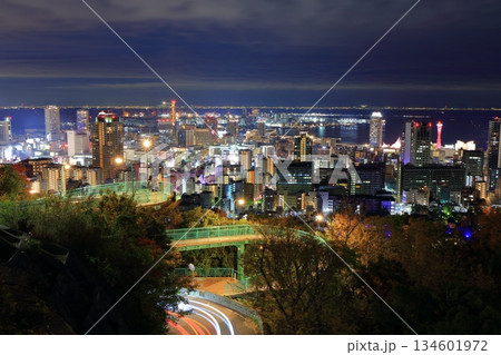 【兵庫県】六甲山から見た神戸の夜景（ビーナスブリッジ） 134601972